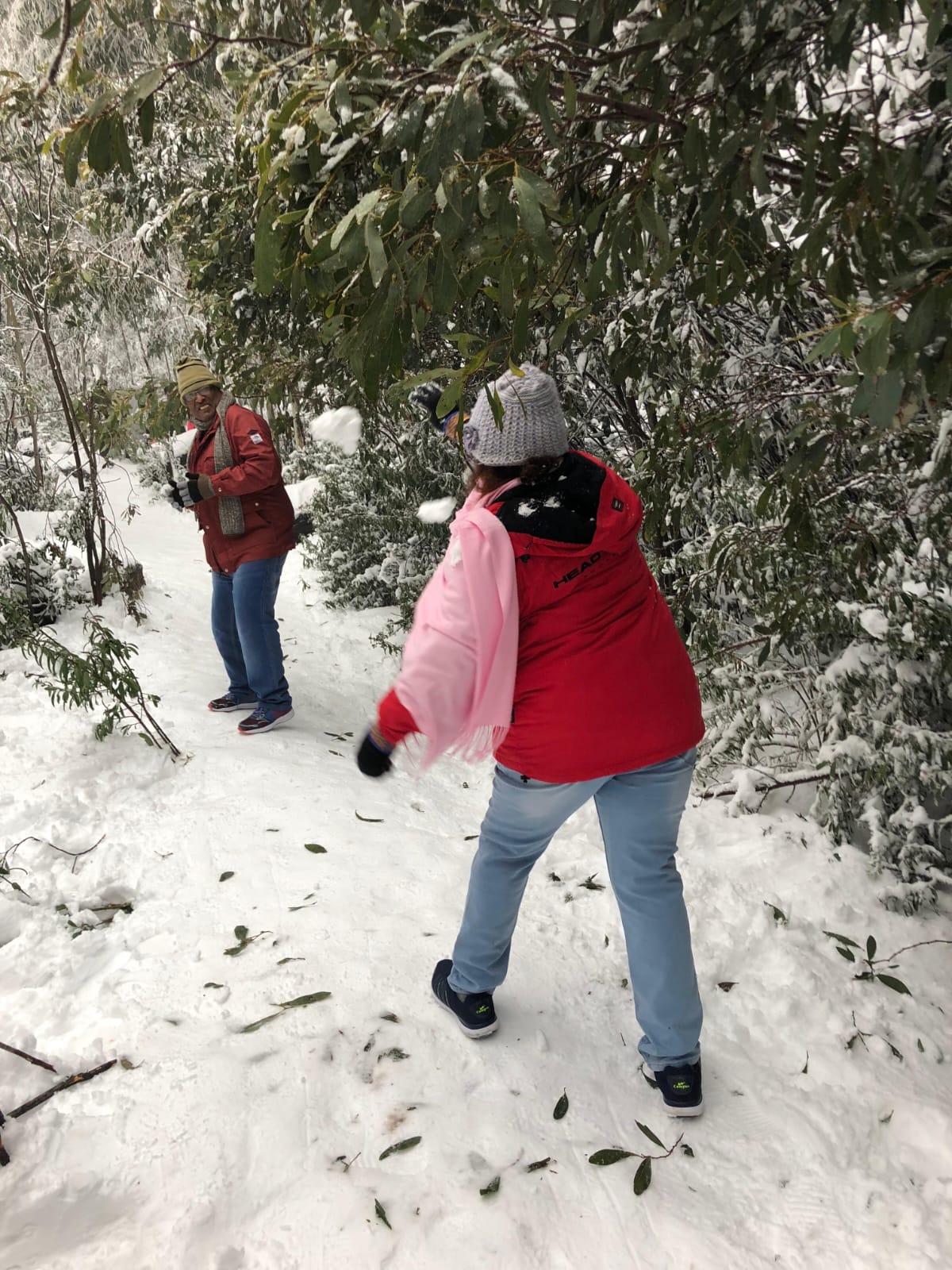 Mount Buller