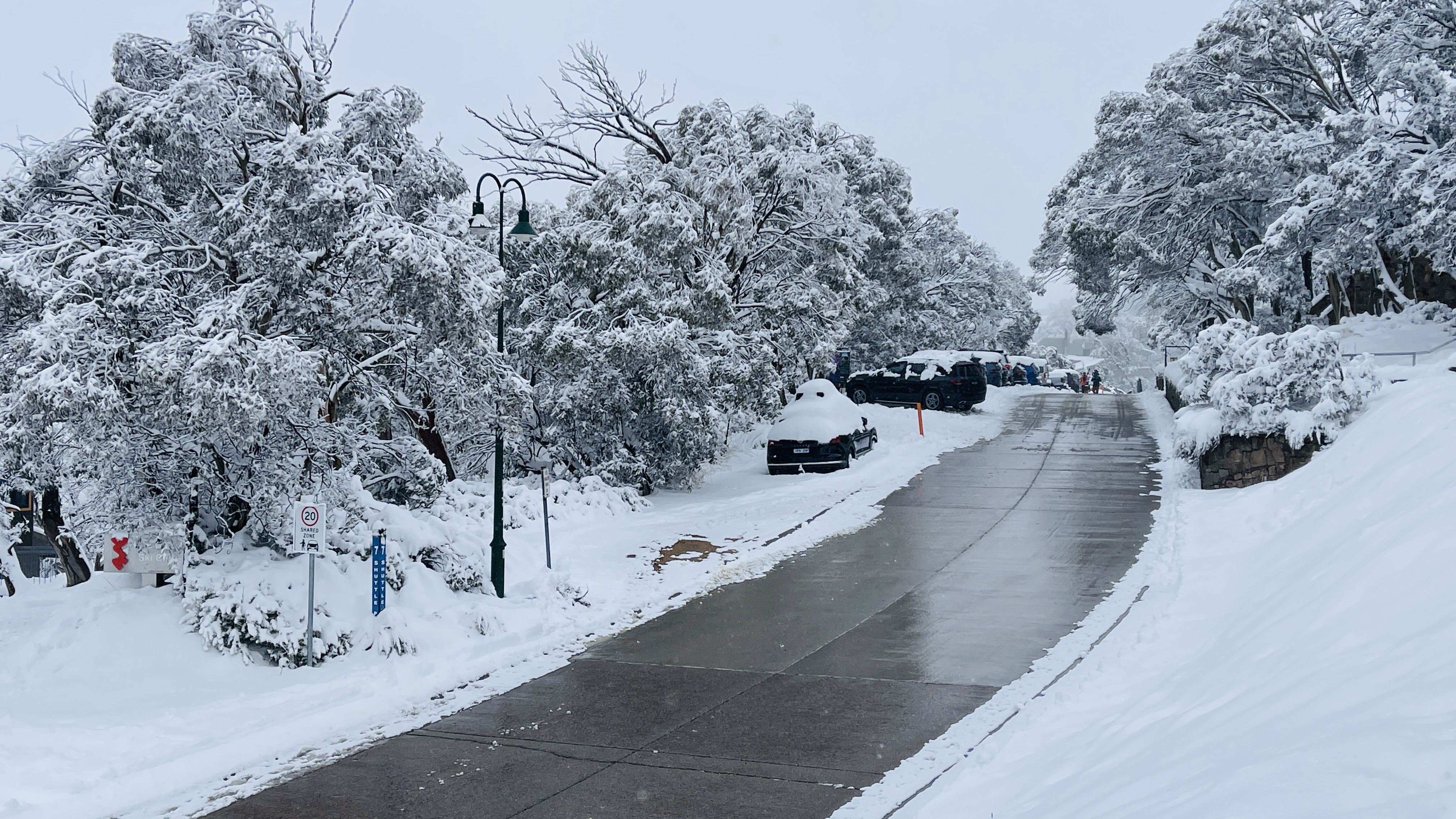 Mount Buller