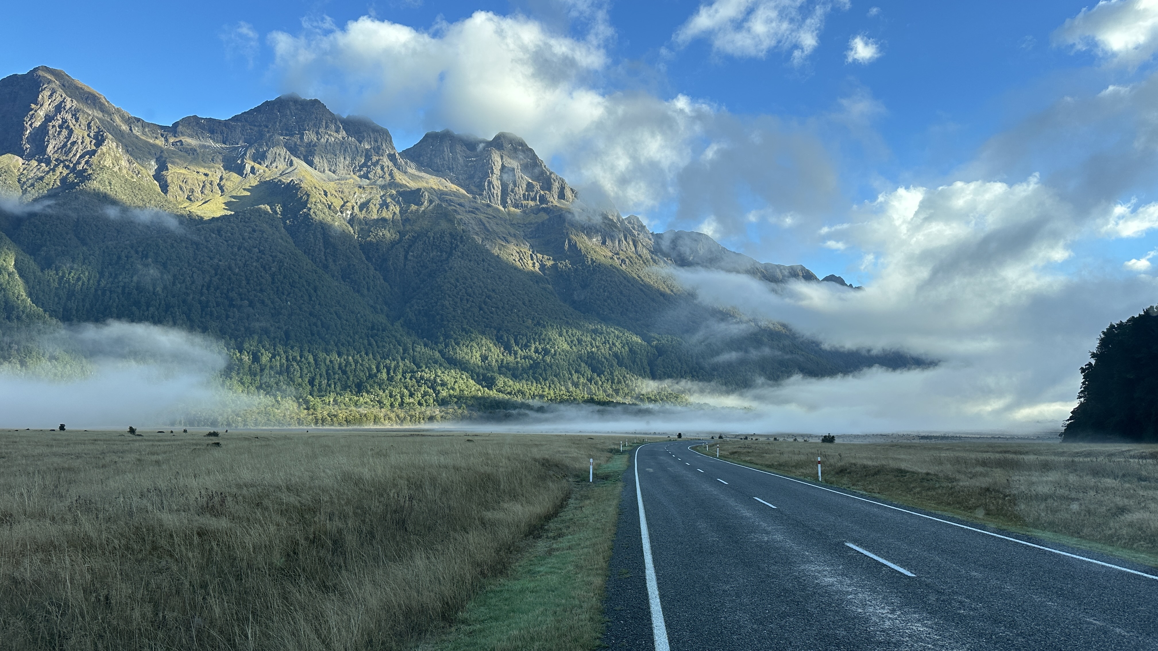 New Zealand